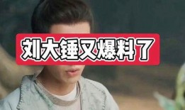 刘大锤爆料网红视频大全,网红视频大全背后的精彩瞬间