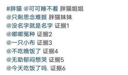 胖猫最新爆料新闻