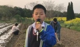 菜棚哥最新爆料,最新爆料背后的惊人真相